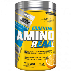 Bigjoy Essential Amino Reaal 420 gr