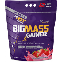 BigJoy Big Mass Gainer 5440 gr Karbonhidrat Tozu