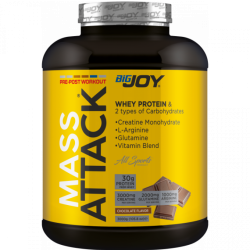 Bigjoy Big Mass Attack 3000 gr