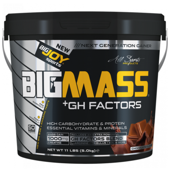 Bigjoy BigMass +GH Factors 5000 gr