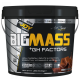 Bigjoy BigMass +GH Factors 5000 gr