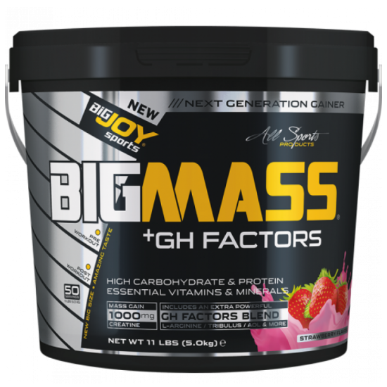 Bigjoy BigMass +GH Factors 5000 gr