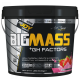 Bigjoy BigMass +GH Factors 5000 gr
