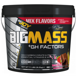 Bigjoy BigMass +GH Factors 5000 gr