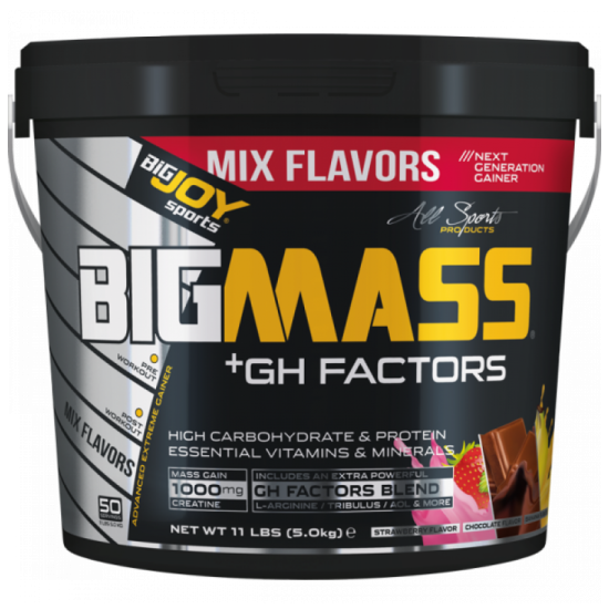 Bigjoy BigMass +GH Factors 5000 gr