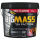 Bigjoy BigMass +GH Factors 5000 gr