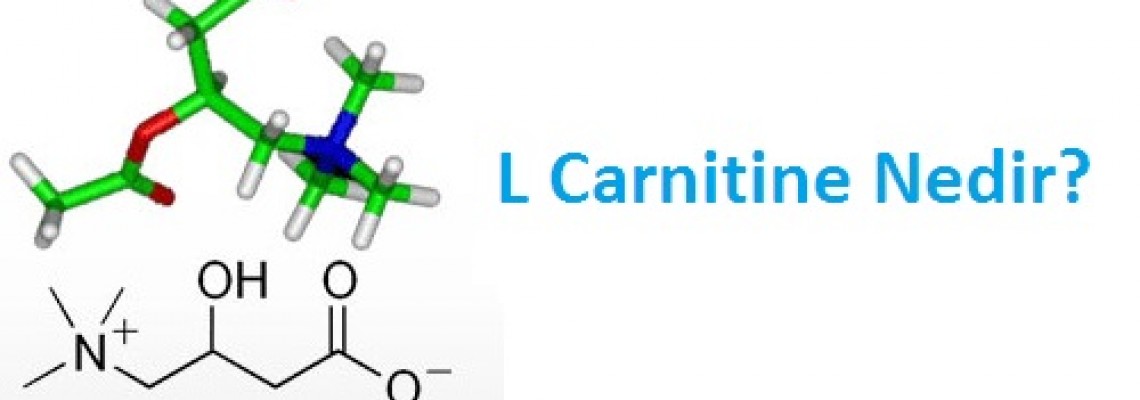 L Karnitin Nasıl Kullanılır ? L - Karnitin Nedir ?