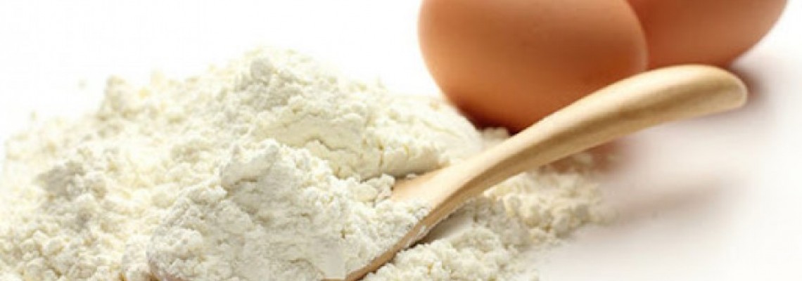 Yumurta Akı Tozu Egg White Powder Nedir ve Ne İşe Yarar ?