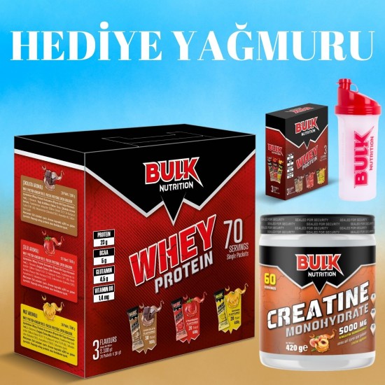 Whey Protein Tozu 70 Şase - Kreatin 60 Servis