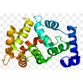 Complex Protein Tozu