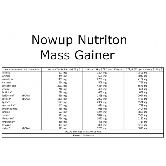 Nowup Nutrition Mass Gainer 4020 gr