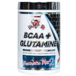 Protouch Nutrition BigBang BCAA+Glutamine 400 gr 40 Servis